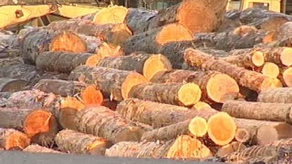 Roseburg Forest Products announce layoffs at Riddle KPIC