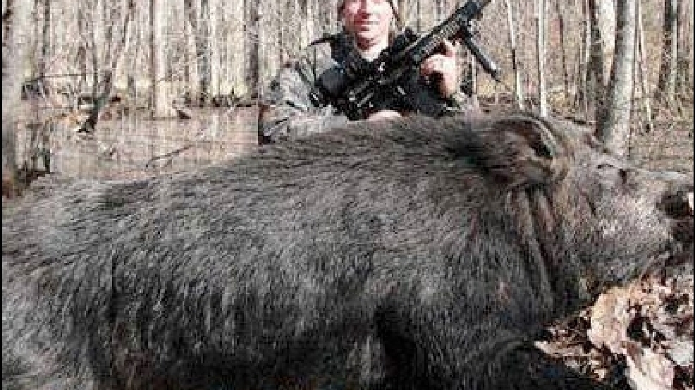 140315_hog.jpg