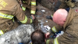 VIDEO: Firefighters rescue, resuscitate dog following large house fire