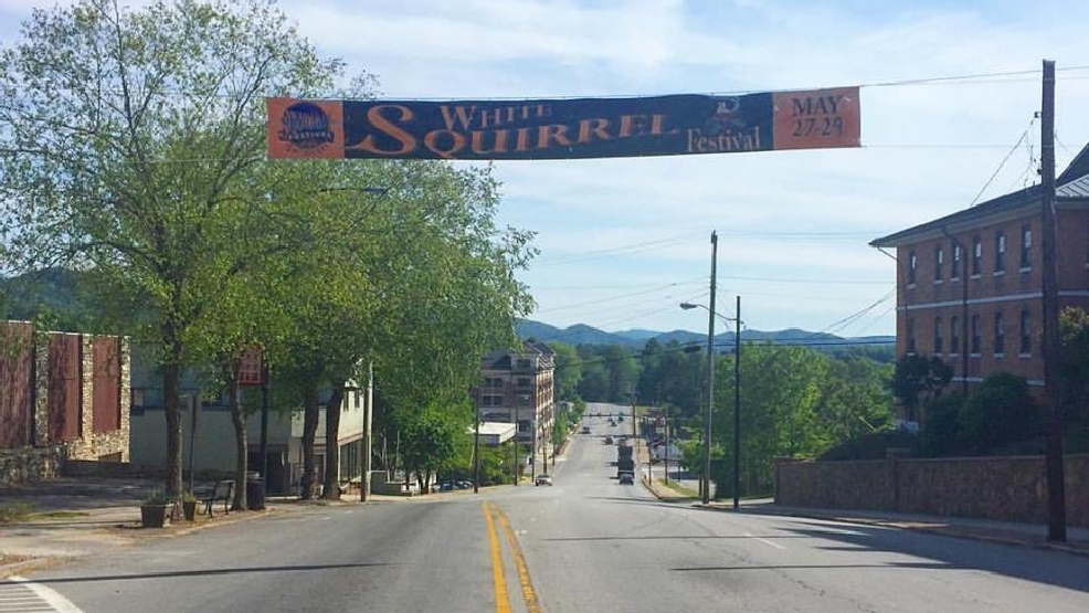 White Squirrel Festival runs Memorial Day Weekend in Brevard | WLOS