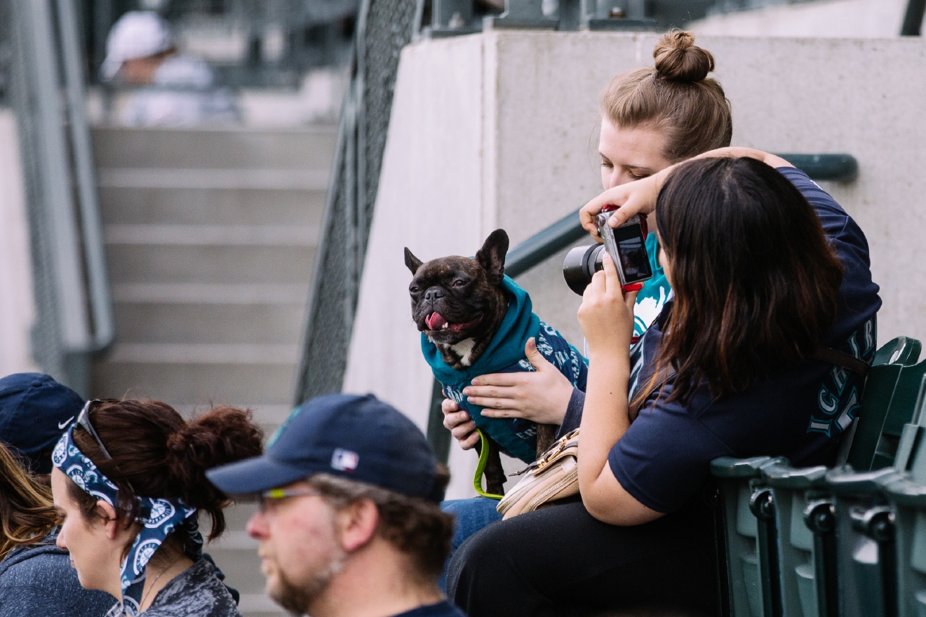 Who Let The Dogs In (To Safeco Field)? Mariners Host Bark in the Park