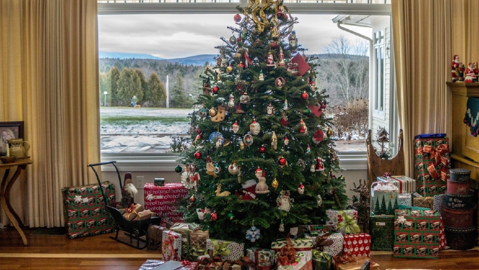now that christmas has passed its time to consider what to do with the tree metro nashville officials last year recycled nearly 10500 trees through the - How Long Does A Christmas Tree Last now that christmas has passed its time to consider what to do with the tree metro nashville officials last year recycled nearly 10500 trees through the - How Long Does A Christmas Tree Last