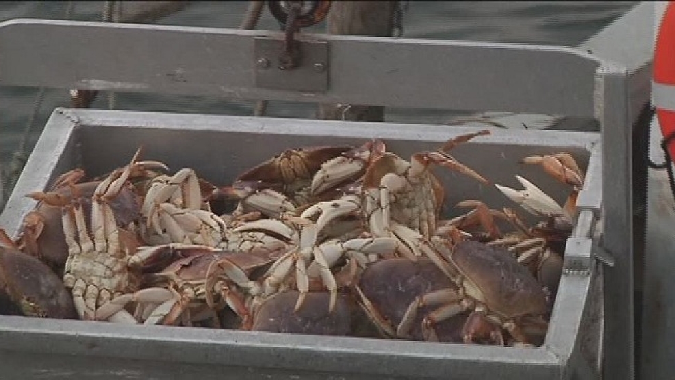 Oregon Dungeness crab season officials opens KCBY