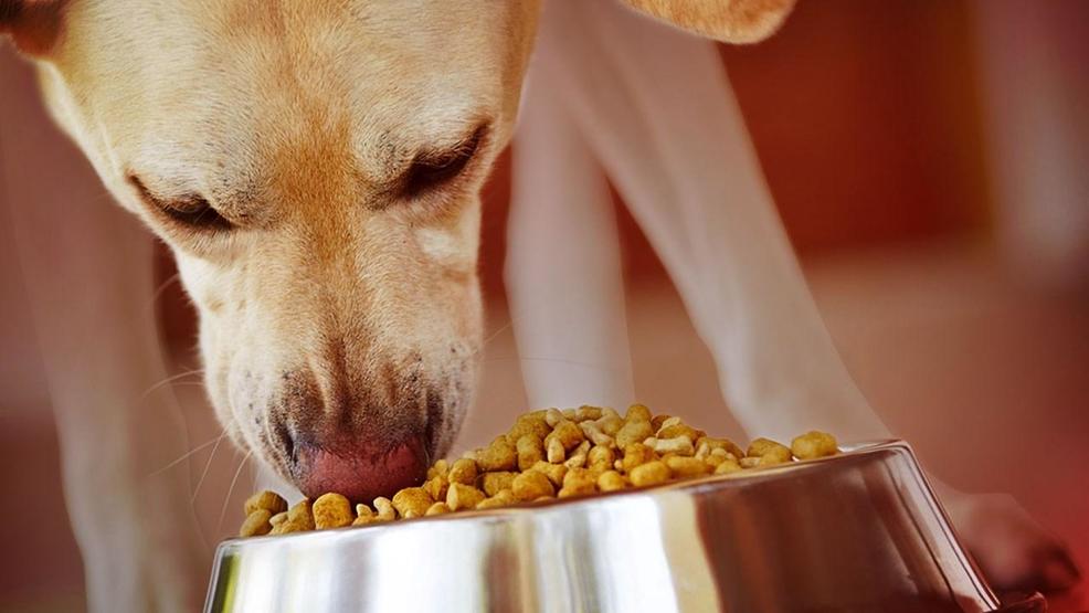 fda-announces-dog-foods-it-says-may-cause-heart-disease-wkrc