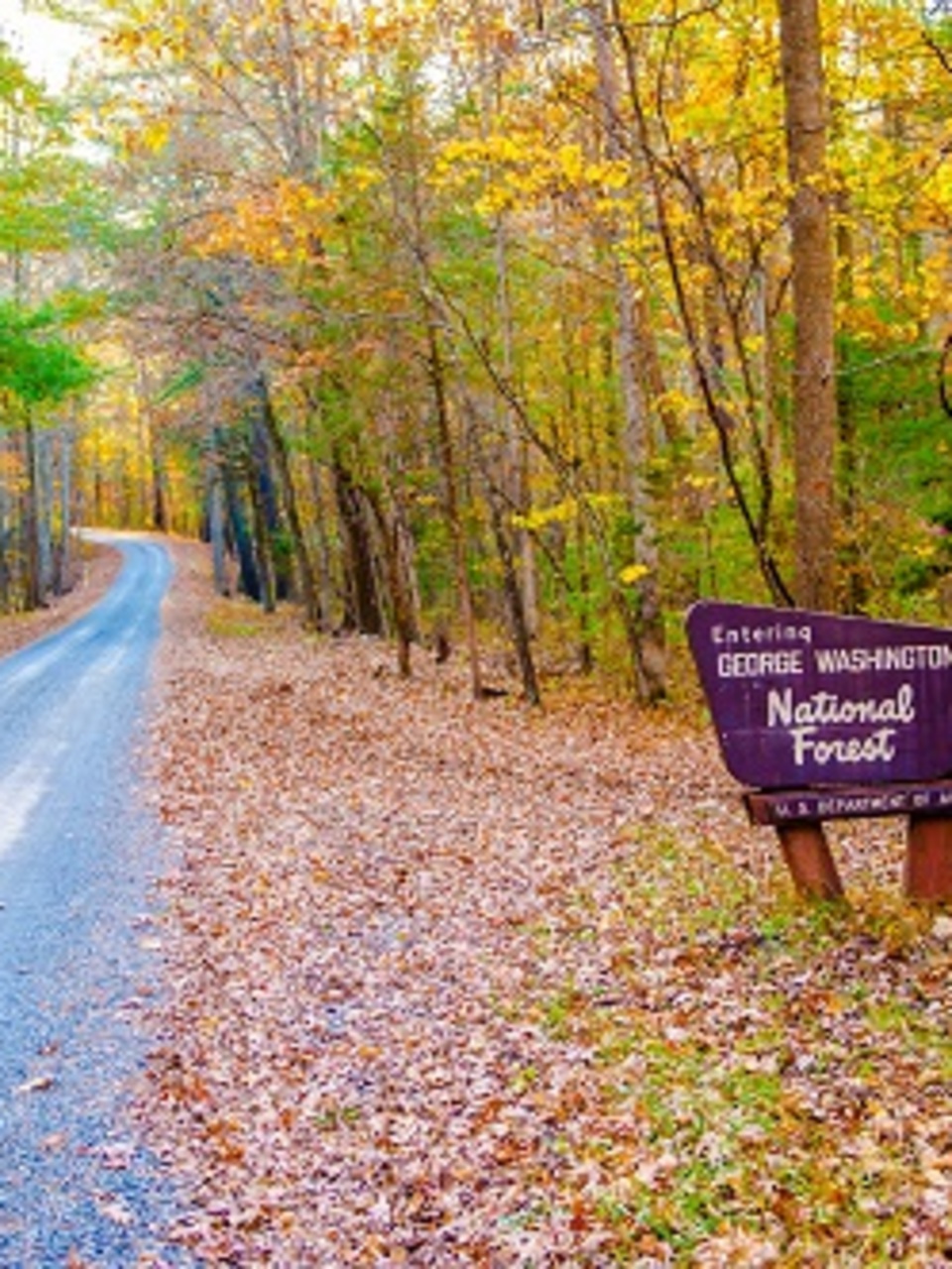 Collectibles US Topog Mount Rogers National Recreation Area Jefferson