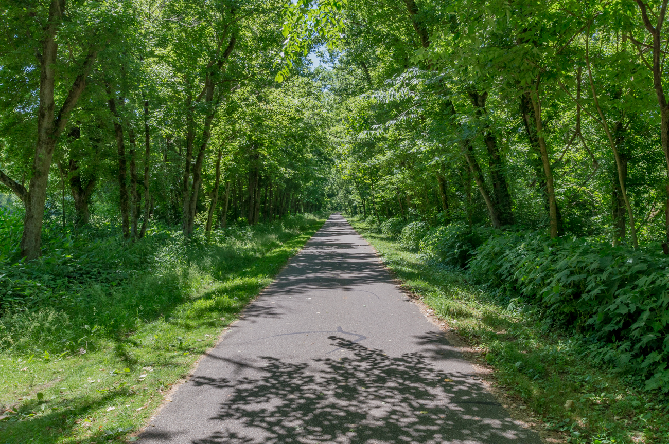 Did You Know You Can Ride a Bike From Loveland to Yellow Springs