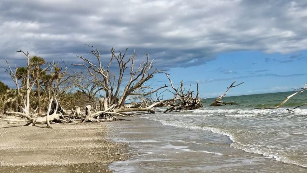 Photo Of The Day: Boneyard 