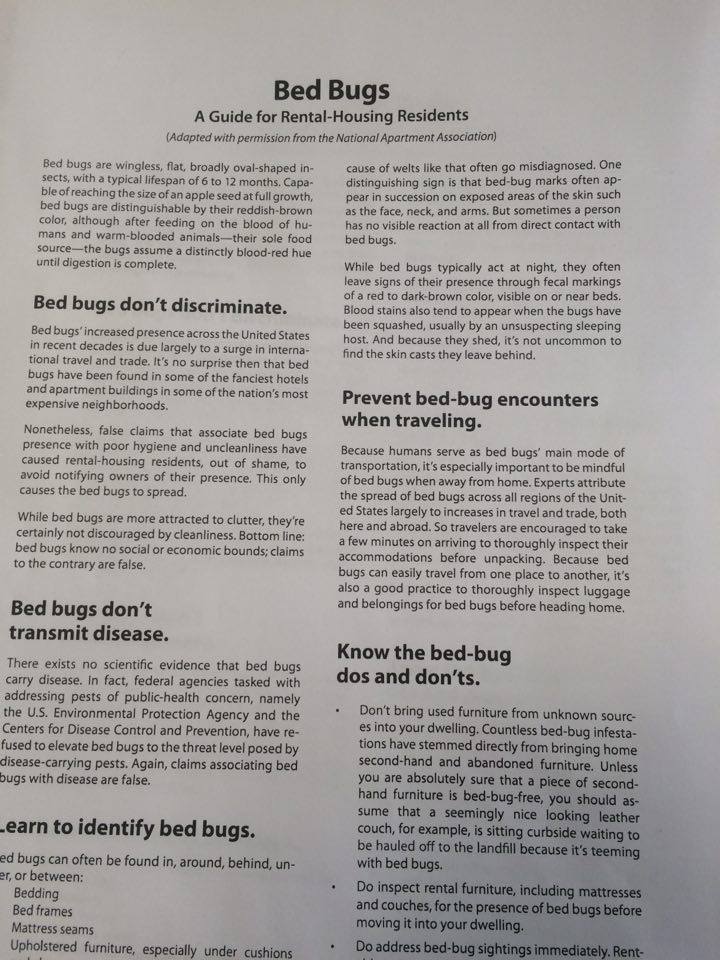 ABC 7 Investigates What to know about bed bugs & leases before renting