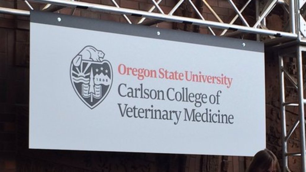 50m Gift To College Of Veterinary Medicine Largest Donation Ever 50m Gift To College Of Veterinary Medicine Largest Donation Ever Oregon State