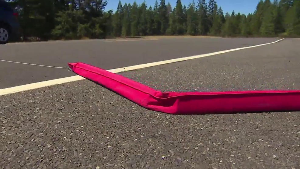 Spike strips dangerous but necessary, police say | KOMO