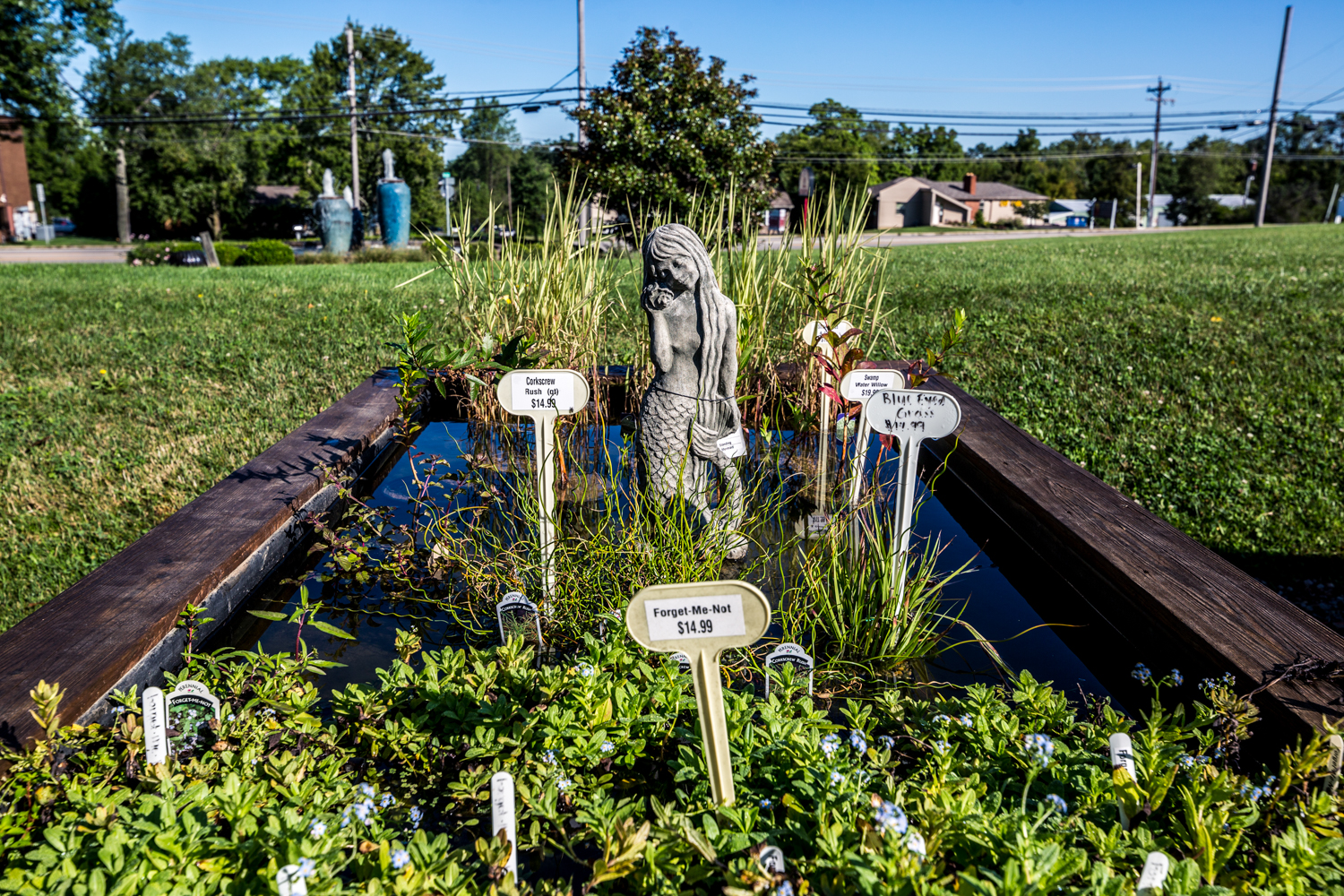 This Magical Aquatic and Garden Store Is a Decor Destination Cincinnati Refined