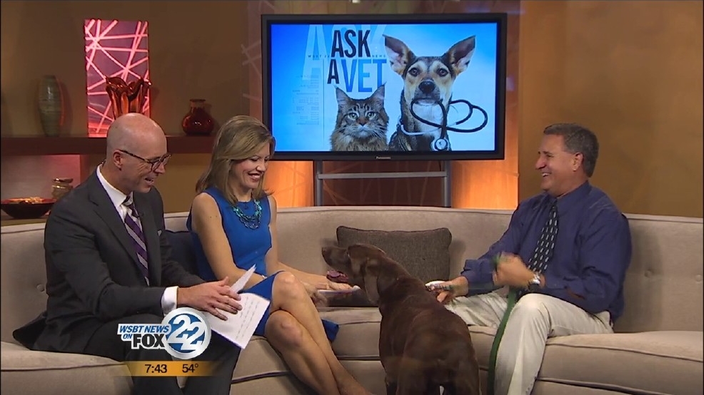 can my dog get a cold from me