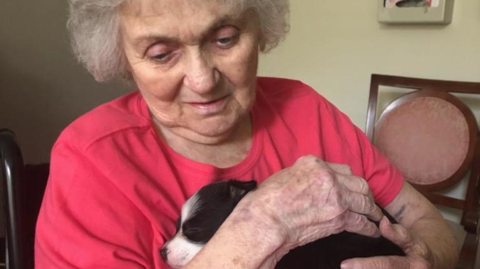 Fearing for safety, midstate family pulls grandma from "under