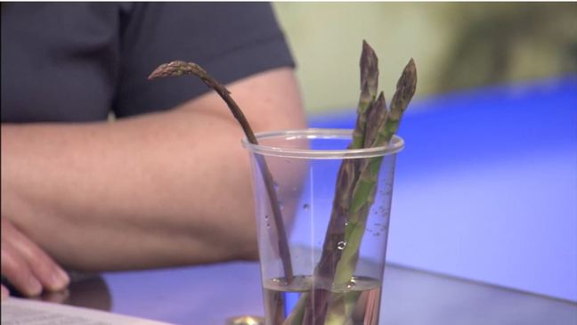 Tips for growing and maintaining healthy asparagus