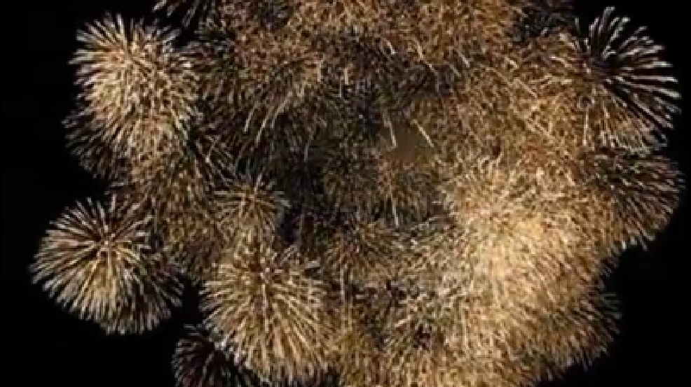 140103_fireworks.jpg