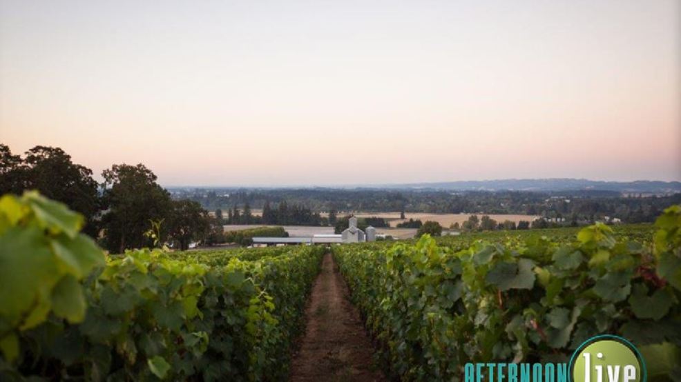 Stoller Family Estate