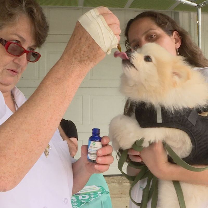 pet releaf hemp oil capsules