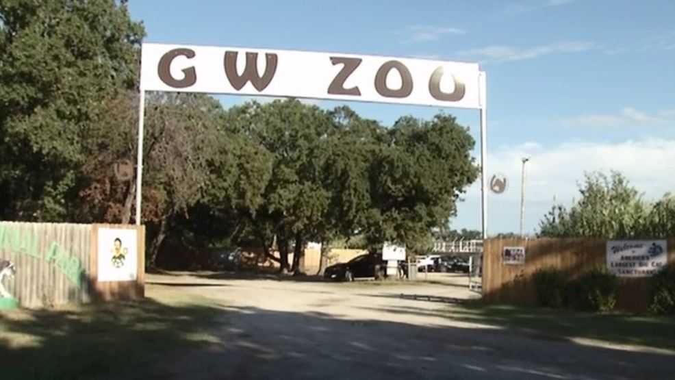 Fri Oct 06 2017 Husband Of Joe Exotic Dies In Accidental Shooting At Animal Park